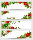 Vector banners with red, silver and green Christmas decorations. Royalty Free Stock Photo