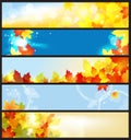 Vector Banners Set / Beautiful Autumn Day Royalty Free Stock Photo