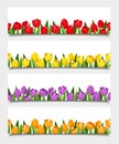 Vector banners with tulip flowers.