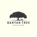 vector of banyan tree with vintage style logo design illustration, oak tree icon design Royalty Free Stock Photo