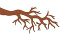 Vector Bare Tree Branch. Tree Branch Vector Illustration