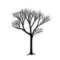 Vector bare tree illustration