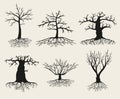 Vector bare tree silhouettes with roots