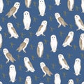 Vector Barn Owls with Gold Stars on Blue Background Seamless Repeat Pattern. Background for textiles, cards Royalty Free Stock Photo