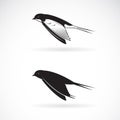 Vector of barn swallow flying design on white background. Bird icon or logo. Wild Animals. Easy editable layered vector