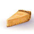 Vector base piece of pumpkin cheesecake cake with tender, delicate creamy-curd cheese. Crisp and crumbly cake with back,