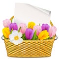 Vector Basket With Tulips