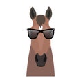 Vector bay brown color flat style horse head in sunglasses