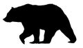 Vector bear silhouette isolated on white background Royalty Free Stock Photo