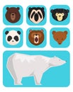 Vector bears different style funny happy animals cartoon predator cute bear character illustration