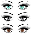 Vector set of beautiful eyes.