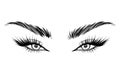 Vector Beautiful Female Eyes with Long Black Eyelashes and Brows close up. Makeup, beauty salon symbol. Woman Lashes Royalty Free Stock Photo