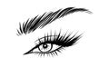 Vector Beautiful Female Eyes with Long Black Eyelashes and Brows close up. Makeup, beauty salon symbol. Woman Lashes Royalty Free Stock Photo