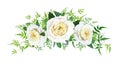 Vector beautiful floral bouquet watercolor illustration. Light yellow elegant, cabbage, garden rose flowers, fern, green vine