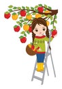 Vector Beautiful Girl Picking Apples from Tree