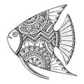 Vector beautiful hand drawn fish in zentangle graphic style Royalty Free Stock Photo