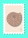 Vector beautiful hand drawn post stamp. Modern vector isolated post stamp design. Seashells and stars post stamp. Mail and post Royalty Free Stock Photo