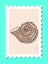 Vector beautiful hand drawn post stamp. Modern vector isolated post stamp design. Seashells and stars post stamp. Mail and post