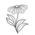 Vector Beautiful Monochrome Contour Flower