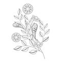 Vector Beautiful Monochrome Contour Flower