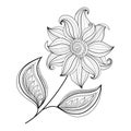 Vector Beautiful Monochrome Contour Flower