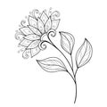 Vector Beautiful Monochrome Contour Flower