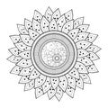 Vector Beautiful Monochrome Contour Flower