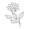 Vector Beautiful Monochrome Contour Flower