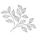 Vector Beautiful Monochrome Contour Leaf