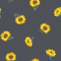 Vector Beautiful Natural Sunflowers on Dark seamless pattern background. Perfect for fabric, scrapbooking and wallpaper