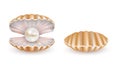 Vector beautiful pearl shell icon set