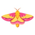 vector beautiful rosy maple moth cartoon illustration isolated Royalty Free Stock Photo