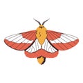 vector beautiful rosy maple moth cartoon illustration isolated Royalty Free Stock Photo