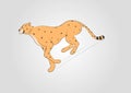 Vector beautiful running cheetah big wild cat isolated on white background side view zoo illustration fastest mammal animal Royalty Free Stock Photo