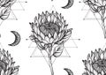 Vector beautiful seamless pattern. Romantic elegant endless background with hand drawn protea flowers