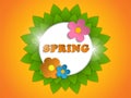 Beautiful Spring Flowers Orange Background