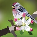 Vector Beautiful Spring Watercolour Bird