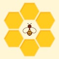 Vector bee and honeycomb icon