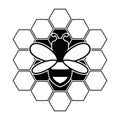 Vector bee and honeycomb icon