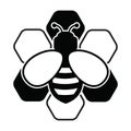 Vector bee and honeycomb icon