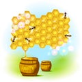 Vector bee and honeycombs