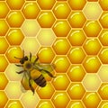 Vector bee and honeycombs texture background.