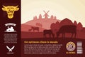 Vector beef illustration with cows, calves and farm