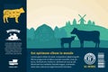 Vector beef illustration with cows, calves and farm