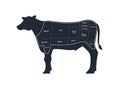 Vector beef steak diagram banner. American meat cutting. White flat cow silhouette with markup isolated on white background. Zone Royalty Free Stock Photo