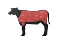 Vector beef steak diagram banner. American meat cutting. White modern style cow silhouette with markup. Red color zone