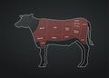 Vector beef steak diagram poster. American meat cutting. White modern style cow silhouette with markup. Red color zone Royalty Free Stock Photo