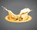 Vector beer splash isolated on light background Royalty Free Stock Photo