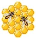 vector bees on honeycells Royalty Free Stock Photo