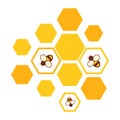 Vector bees and honeycomb icon